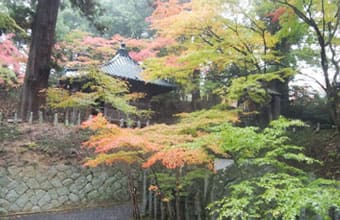 Image:Shinobu Mochizuri (Fern Dyeing)